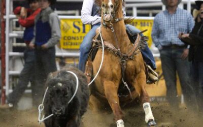 Montana State begins action at College National Finals Rodeo